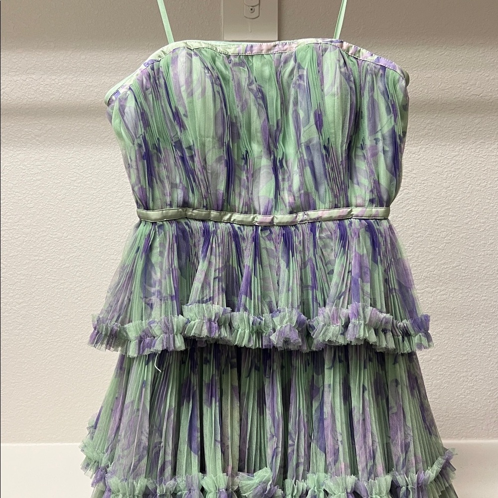 Hutch Giada Floral Mesh Ruffle Gown - Picture 5 of 14